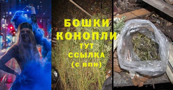 ECSTASY Чекалин