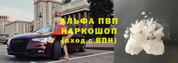 ECSTASY Чекалин