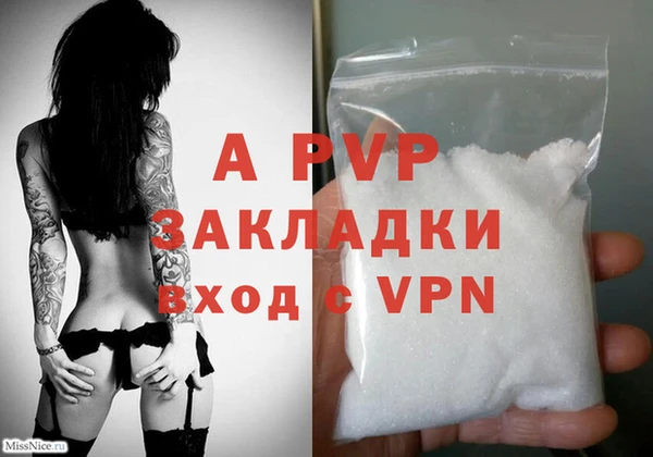 ECSTASY Чекалин