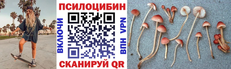 где продают   Краснообск  это формула  Галлюциногенные грибы мицелий 
