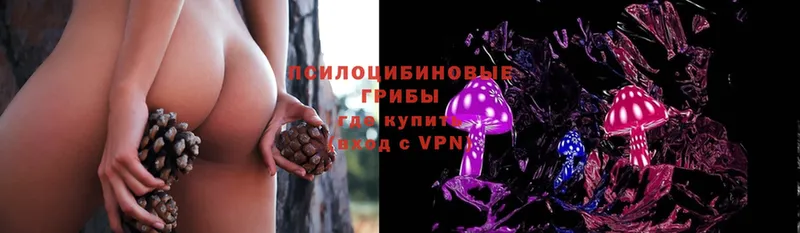 Галлюциногенные грибы Magic Shrooms  Краснообск 