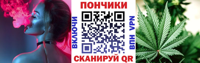 Каннабис сатива  где купить наркоту  Краснообск 